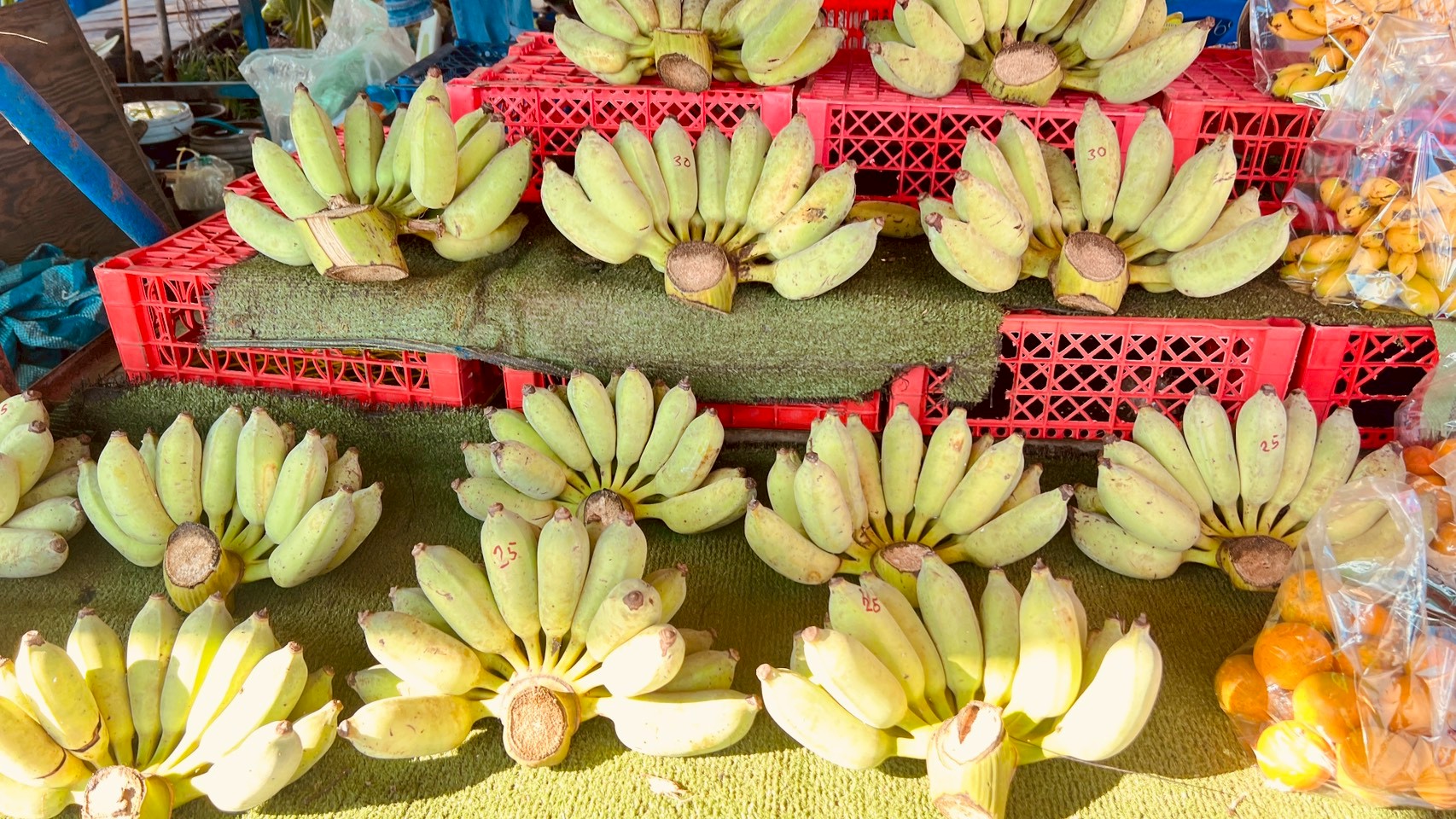 title -  ส.ป.ก.อ่างทอง จัดกิจกรรมโครงการส่งความสุขปีใหม่มอบให้เกษตรกรในเขตปฏิรูปที่ดินจังหวัดอ่างทอง กระทรวงเกษตรและสหกรณ์ ประจำปี พ.ศ. 2569  ณ ตลาดบ้านมะขาม ตำบลจรเข้ร้อง อำเภอไชโย จังหวัดอ่างทอง